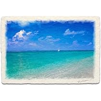 Amazon.co.jp: 風水 絵 絵画 玄関 インテリア アートパネル 風景